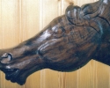 horse-head-detail