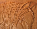 Horse Portrait Detail
