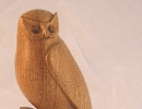 Butternut Owl
