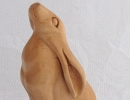 Basswood Bunny